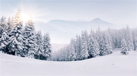 fondos de pantalla invierno